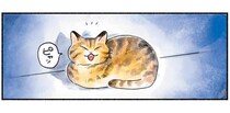 寝室の前で丸くなって待ってる、もうひとりの娘ちゃん