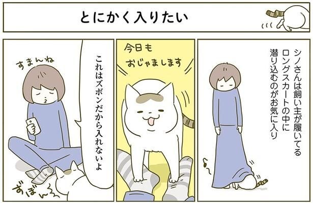 とにかく入りたい