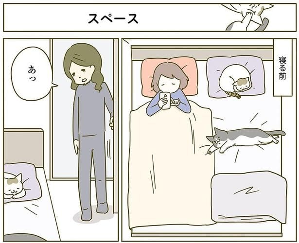 スペース