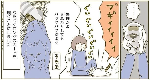 予想図