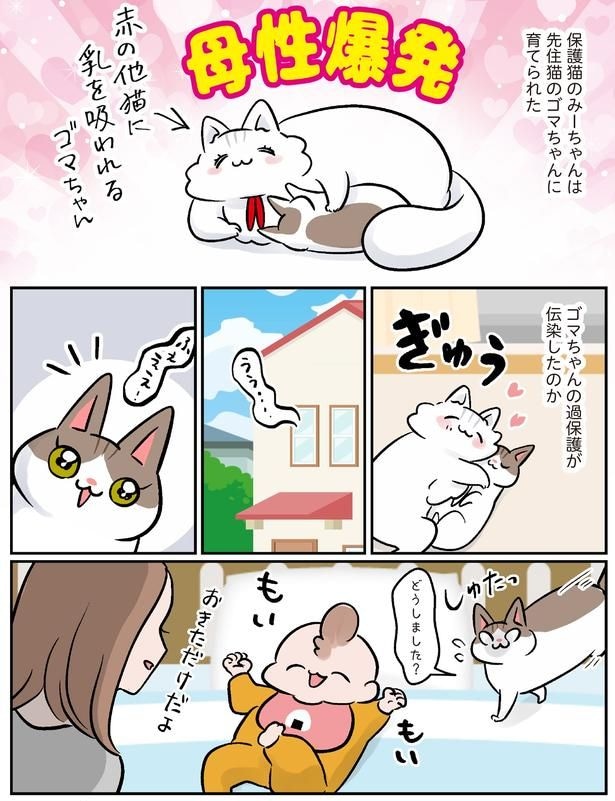 どうしました?