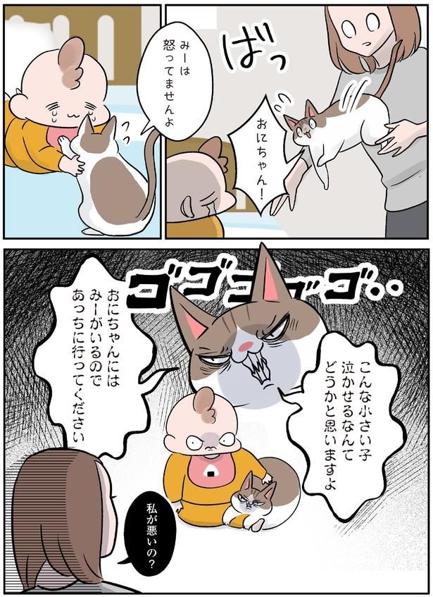 私が悪いの?