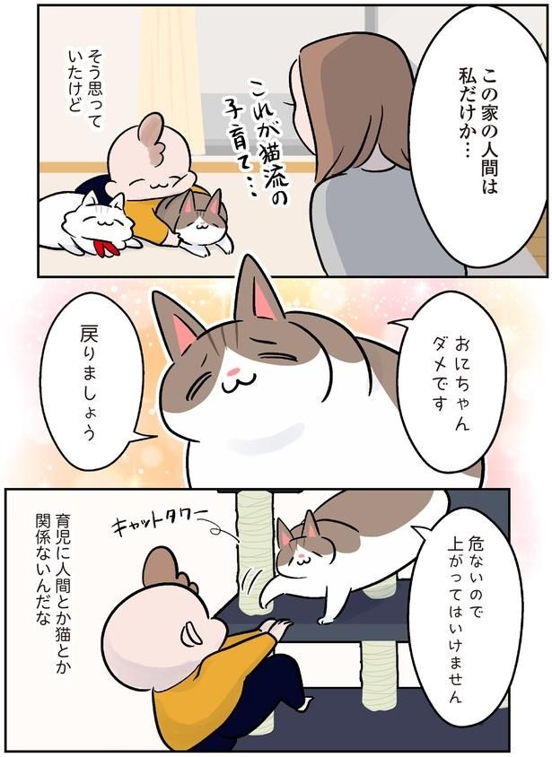 シャーッ