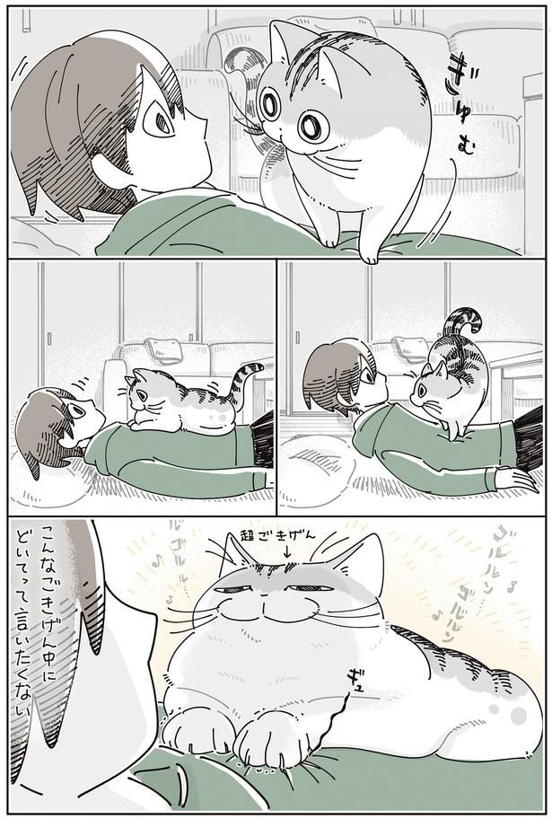 どいてって言いたくない