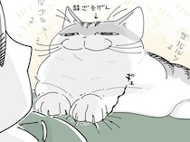 「このまま寝たらお腹冷えるな」毛布を取りにいこうとしたらネコが乗ってきて