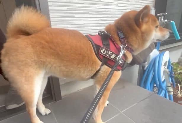あふれる絶望感!!!▶︎実際のポストはこちら(⇒次へ)