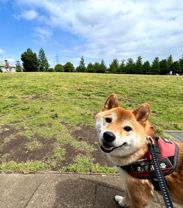 走りたくてうずうず!▶︎大好きなアレをください(⇒次へ)