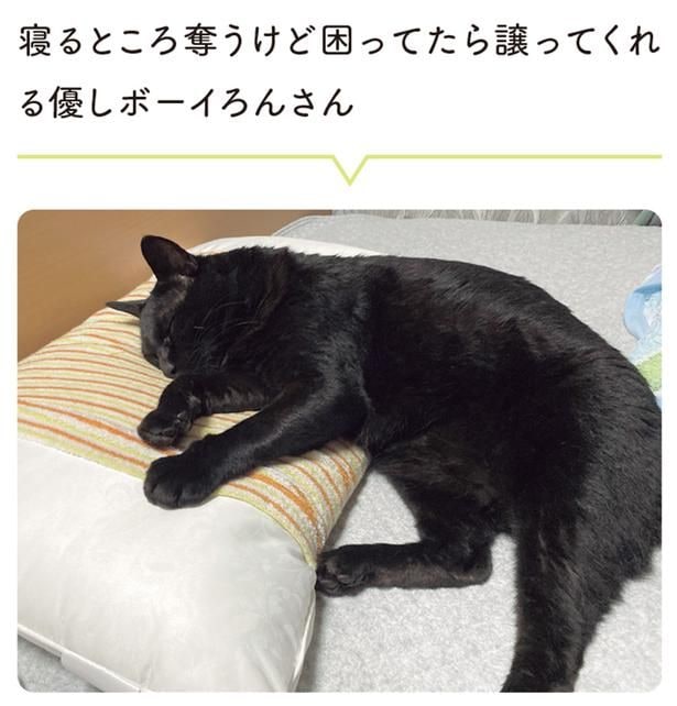 寝るところ奪うけど困ったら譲ってくれる優しボーイろんさん