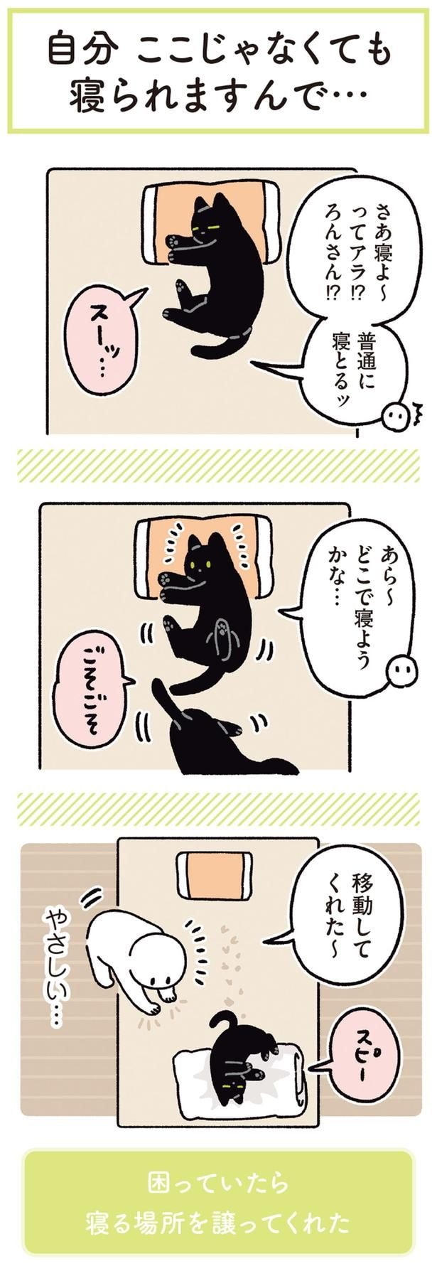 あら~ どこで寝ようかな…