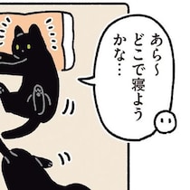 寝る場所だって独り占めしない。黒猫ろんの思いやりにほっこり