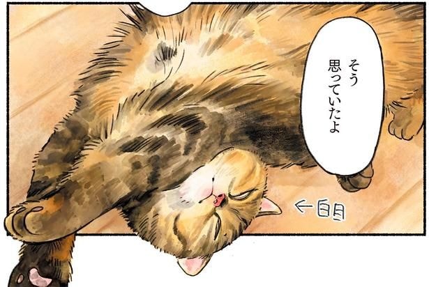 白目