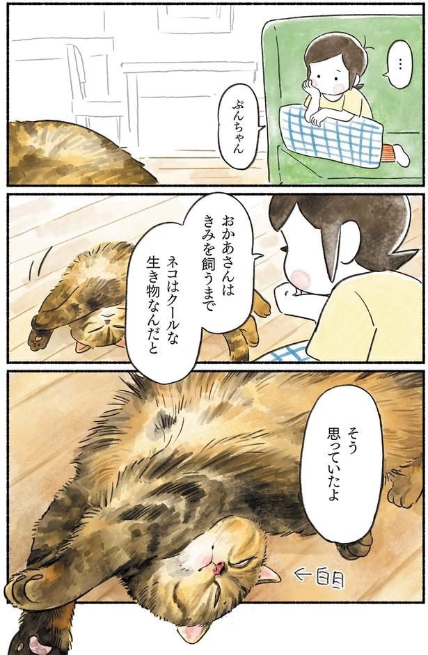 きみを飼うまで