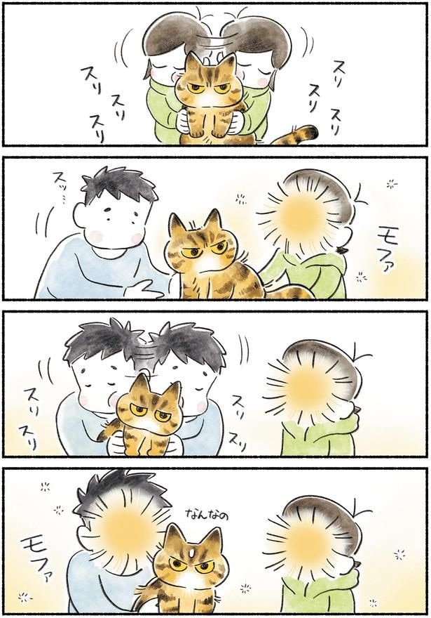 なんなの