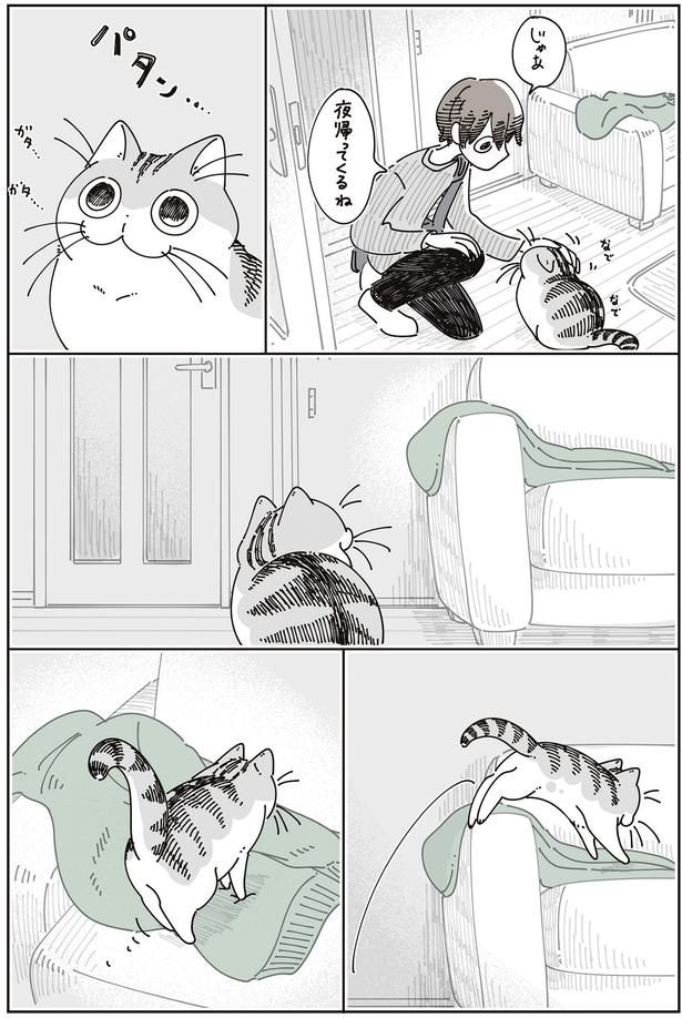 飼い主がいなくなり