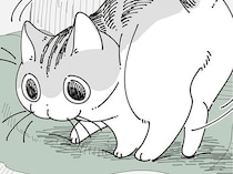 「夜に帰って来るね」飼い主が脱ぎっぱなしにしていた服を見たネコは