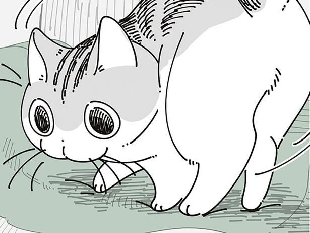 「夜に帰って来るね」飼い主が脱ぎっぱなしにしていた服を見たネコは