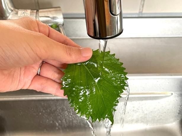 まずは大葉をやさしく水で洗います（▶次へ）