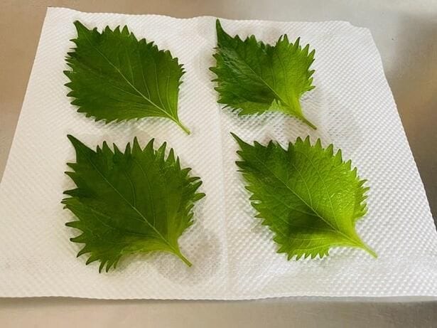 キッチンペーパーの上に乗せて…（▶次へ）