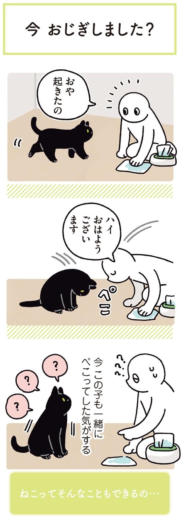 今　この子も一緒にぺこってした気がする