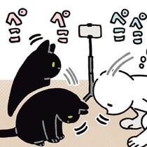 息ぴったり！飼い主と同じタイミングでおじぎする黒猫ろん