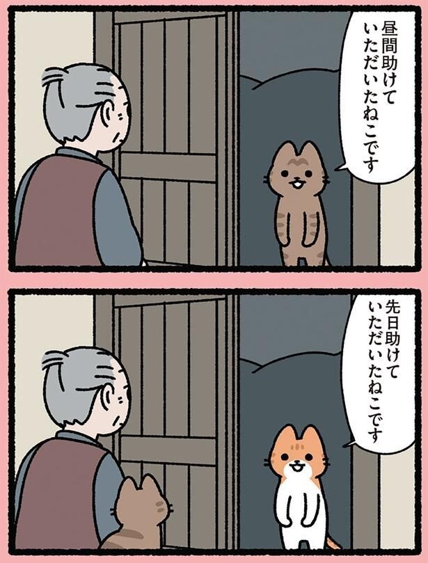 助けていただいたねこです