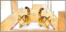 誰もいない玄関でうろうろ。寂しがる姿を見られた猫のその後の行動