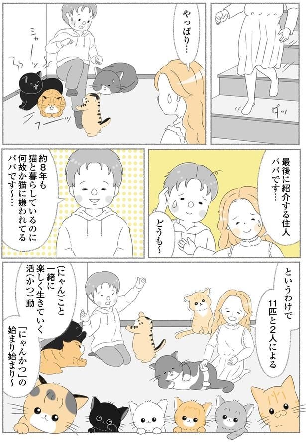 何故か猫に嫌われてるパパです