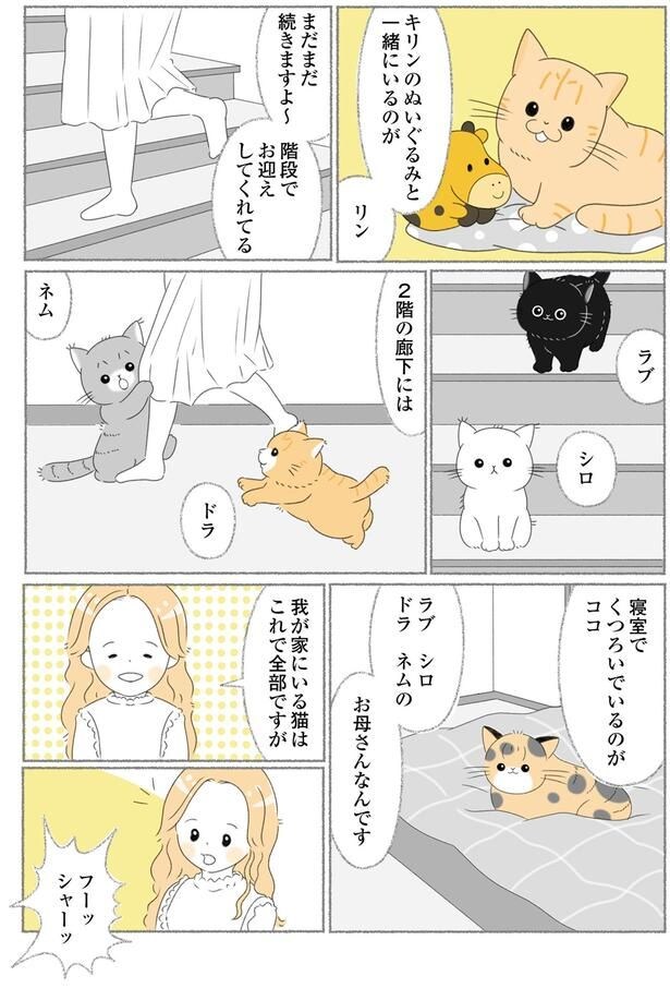 お母さんなんです