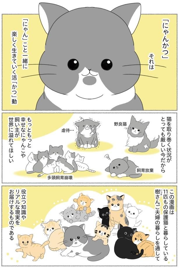 もっともっと幸せなにゃんこや飼い主が世界に溢れてほしい