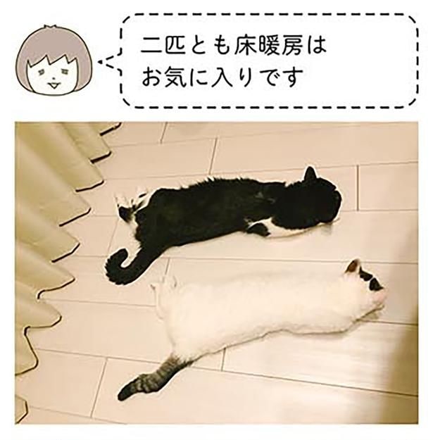 床暖房はお気に入り
