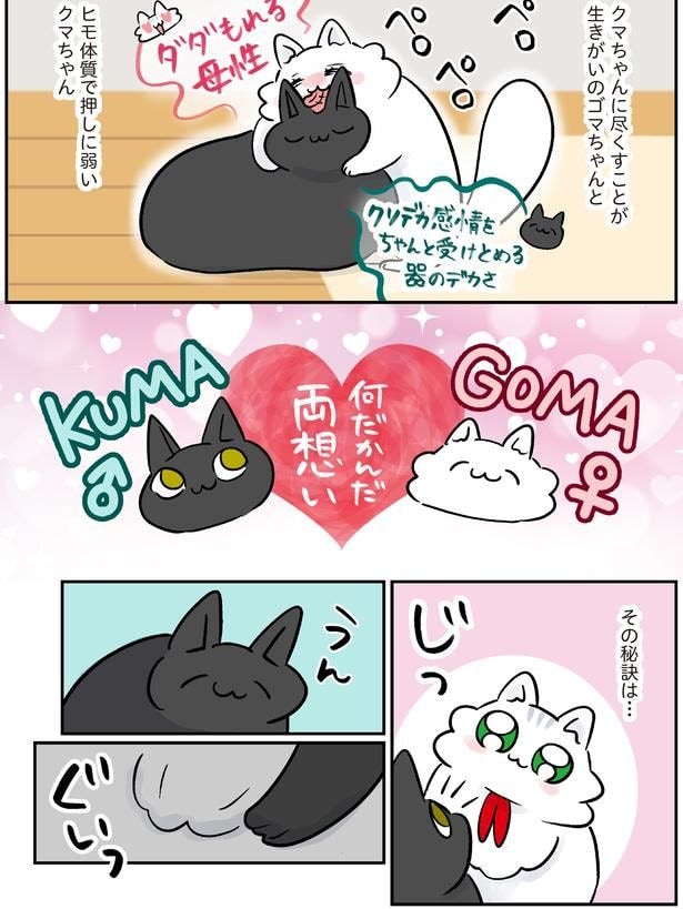 何だかんだ両想い