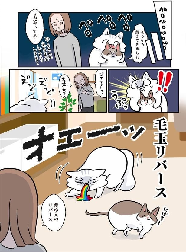 愛ゆえのリバース