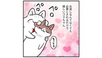愛は同じように返ってこなくとも！尽くすことが生きがいの猫