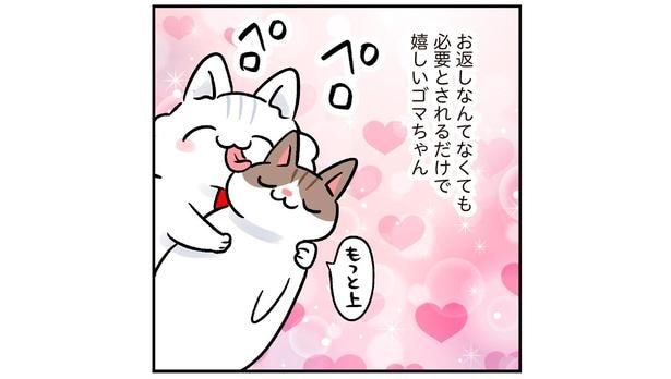 愛は同じように返ってこなくとも！尽くすことが生きがいの猫