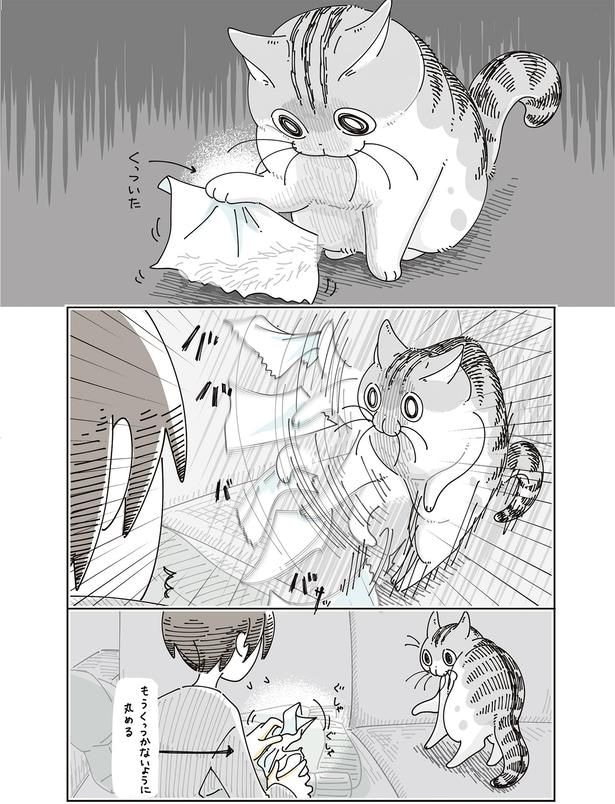 くっついた
