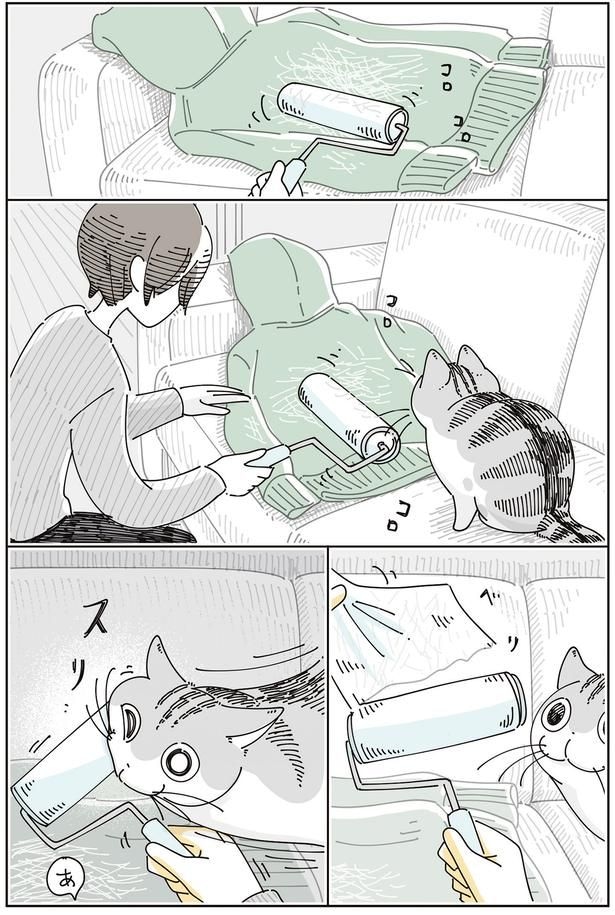 コロコロに顔が