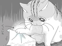 くっついて取れない!! 粘着性のあるものが自分の邪魔をしたときの猫の行動