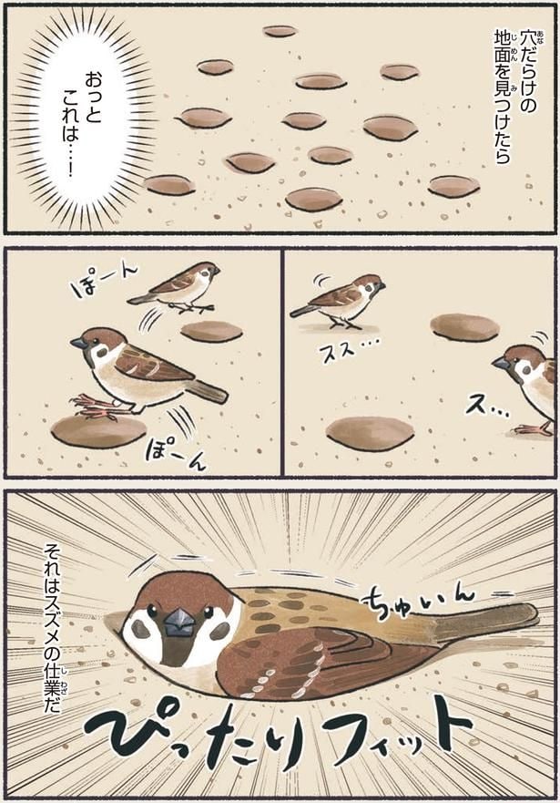 おっとこれは…!