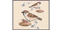 地面の穴で何をしているの？身近な鳥スズメの行動