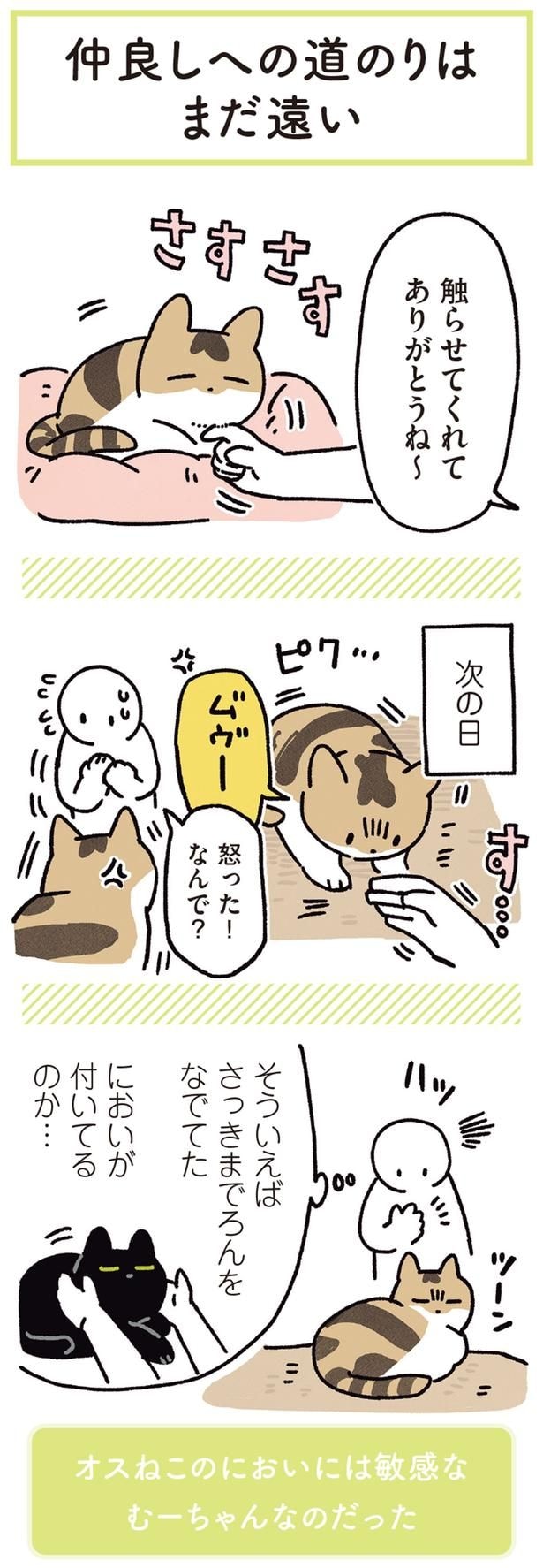 触らせてくれてありがとうね~