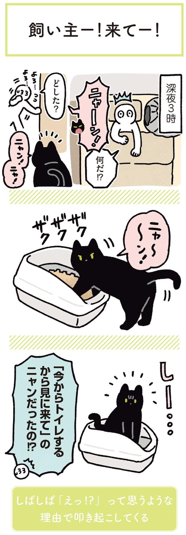 なんだ!?どした?