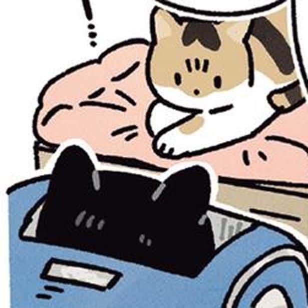 仲良しになれるかな?弟の愛猫・むーちゃんと再会した黒猫ろん