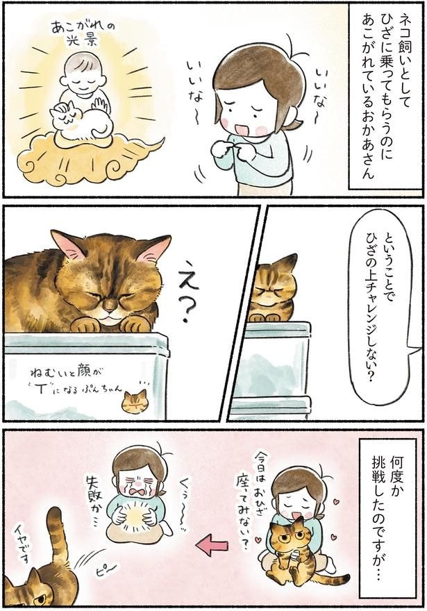ひざの上チャレンジしない？