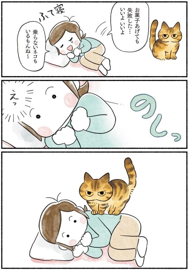乗らないネコもいるもんね～