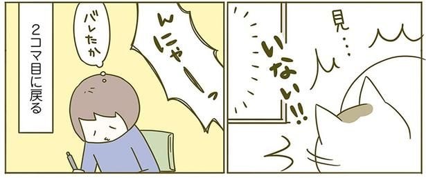 いない!!