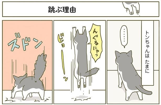 飛ぶ理由