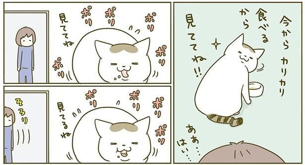 今からカリカリ食べるから
