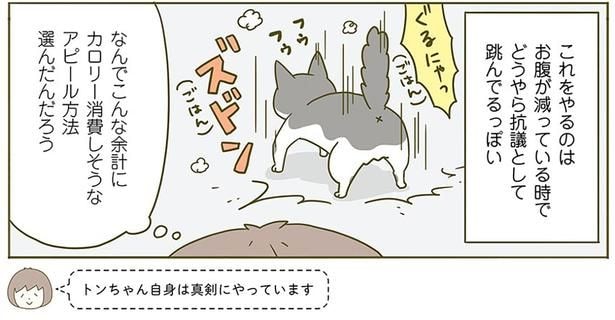 抗議として飛んでるっぽい