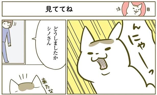どうしましたか