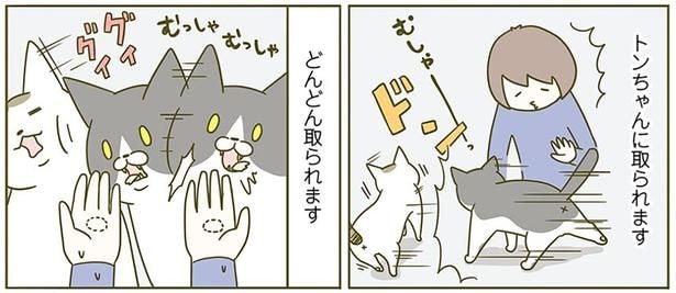どんどん取られます